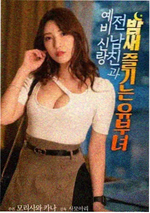 投影亮度与幕布增益换算表图版，074 号刊号卡片